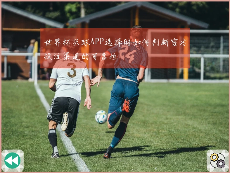 世界杯买球APP选择时如何判断官方投注渠道的可靠性