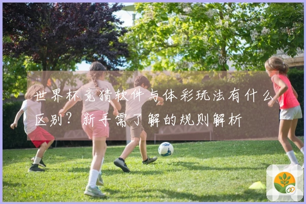 世界杯竞猜软件与体彩玩法有什么区别？新手需了解的规则解析