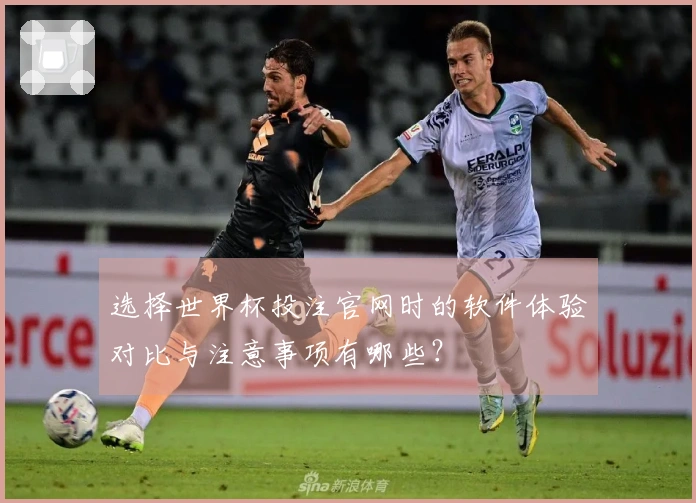 选择世界杯投注官网时的软件体验对比与注意事项有哪些？