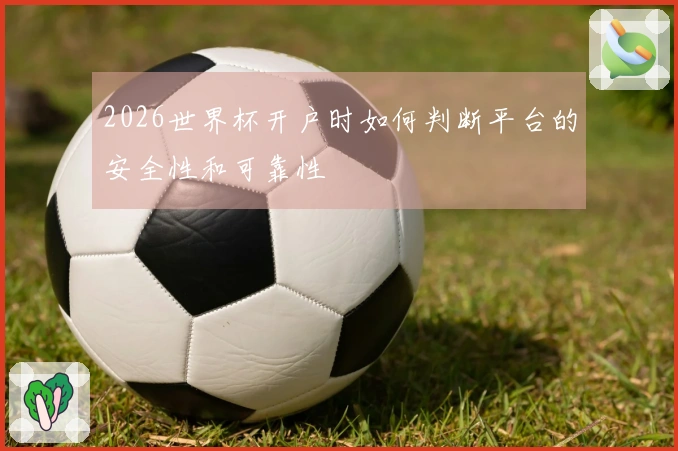 2026世界杯开户时如何判断平台的安全性和可靠性