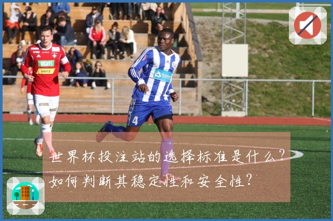 世界杯投注站的选择标准是什么？如何判断其稳定性和安全性？