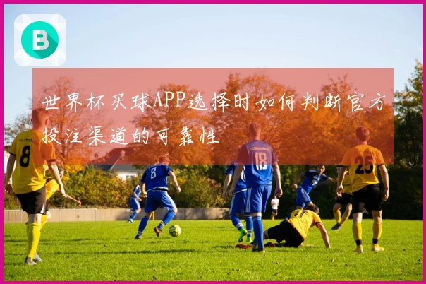 世界杯买球APP选择时如何判断官方投注渠道的可靠性