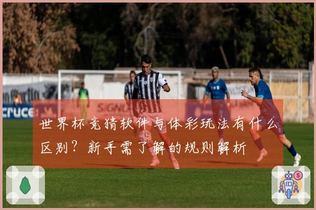 世界杯竞猜软件与体彩玩法有什么区别？新手需了解的规则解析