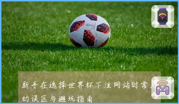新手在选择世界杯下注网站时常见的误区与避坑指南
