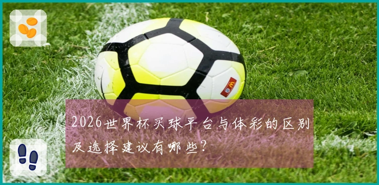 2026世界杯买球平台与体彩的区别及选择建议有哪些？