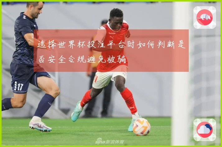 选择世界杯投注平台时如何判断是否安全合规避免被骗