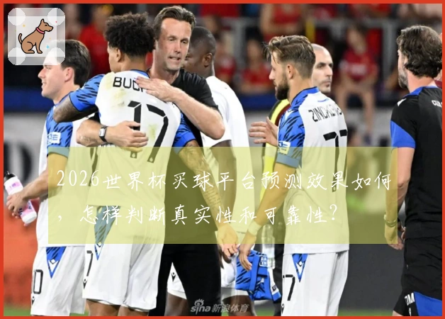 2026世界杯买球平台预测效果如何，怎样判断真实性和可靠性？