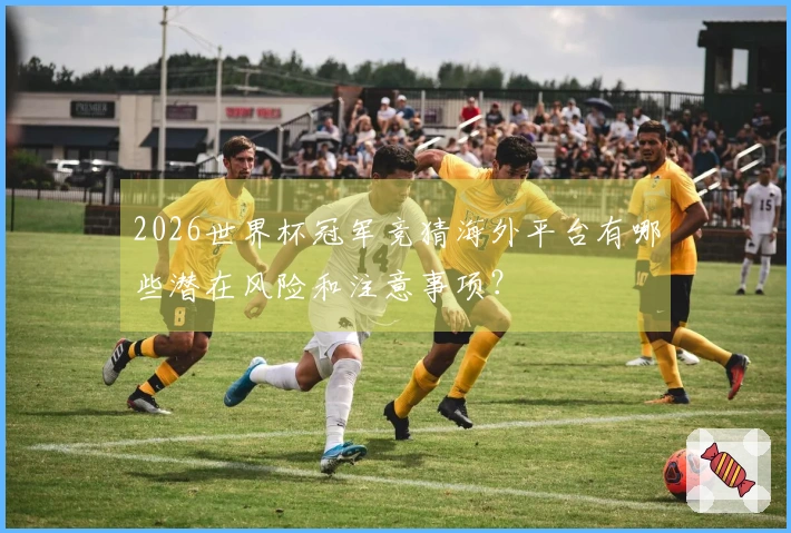2026世界杯冠军竞猜海外平台有哪些潜在风险和注意事项？