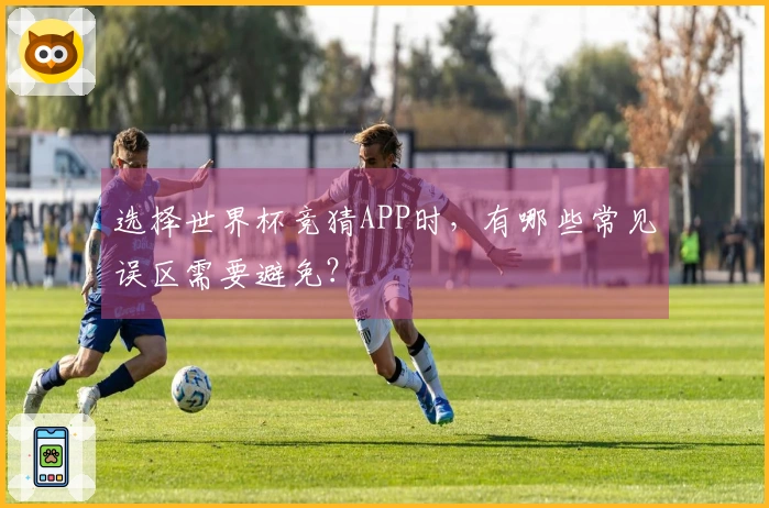 选择世界杯竞猜APP时，有哪些常见误区需要避免？