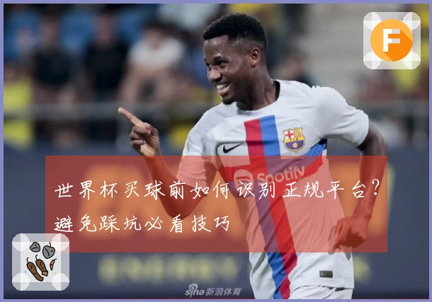 世界杯买球前如何识别正规平台？避免踩坑必看技巧