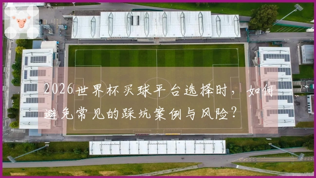 2026世界杯买球平台选择时，如何避免常见的踩坑案例与风险？