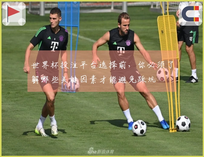 世界杯投注平台选择前，你必须了解哪些关键因素才能避免踩坑