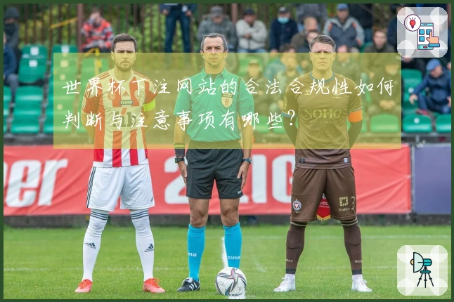 世界杯下注网站的合法合规性如何判断与注意事项有哪些？