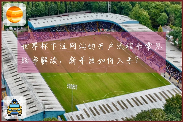 世界杯下注网站的开户流程和常见赔率解读,新手该如何入手?
