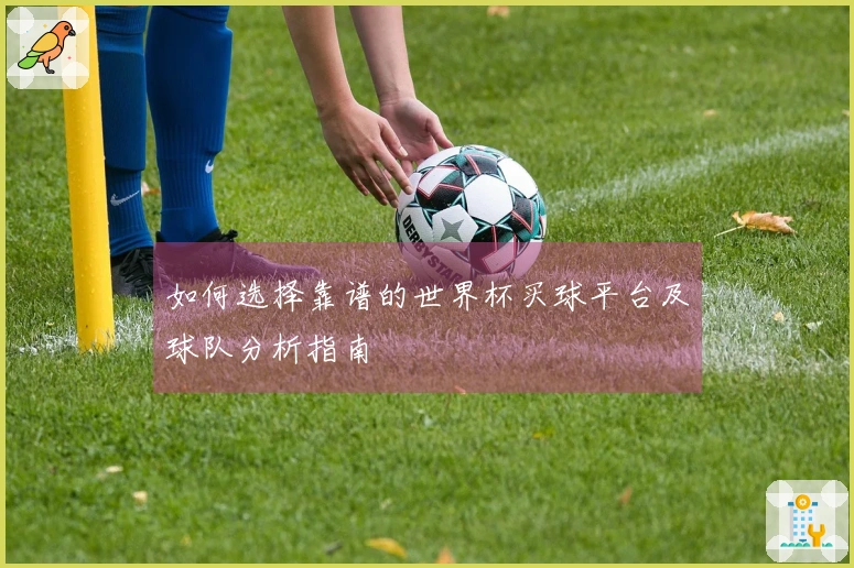 如何选择靠谱的世界杯买球平台及球队分析指南