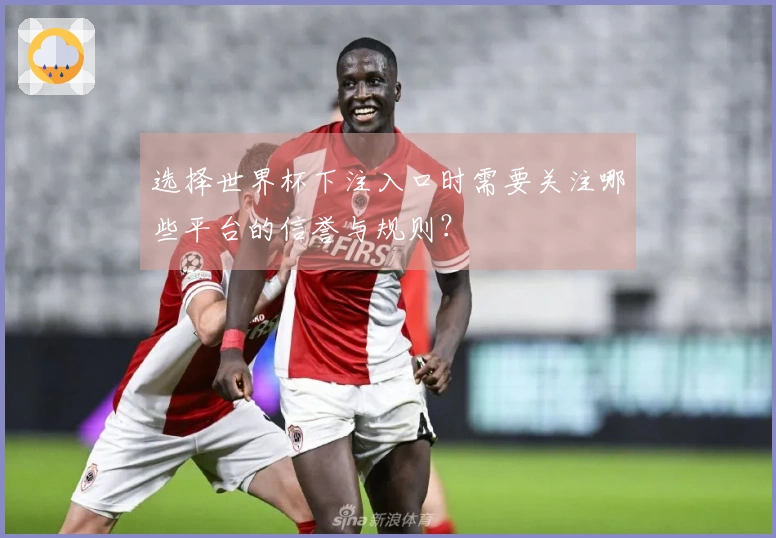 选择世界杯下注入口时需要关注哪些平台的信誉与规则？