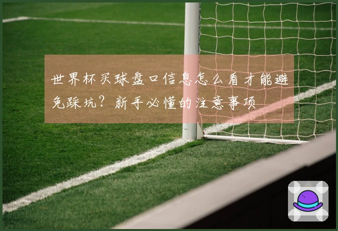 世界杯买球盘口信息怎么看才能避免踩坑？新手必懂的注意事项