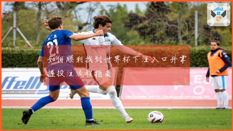 如何顺利找到世界杯下注入口并掌握投注流程指南