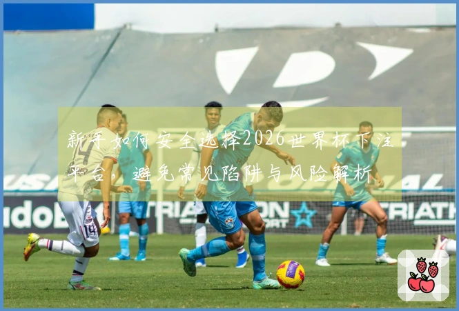 新手如何安全选择2026世界杯下注平台，避免常见陷阱与风险解析
