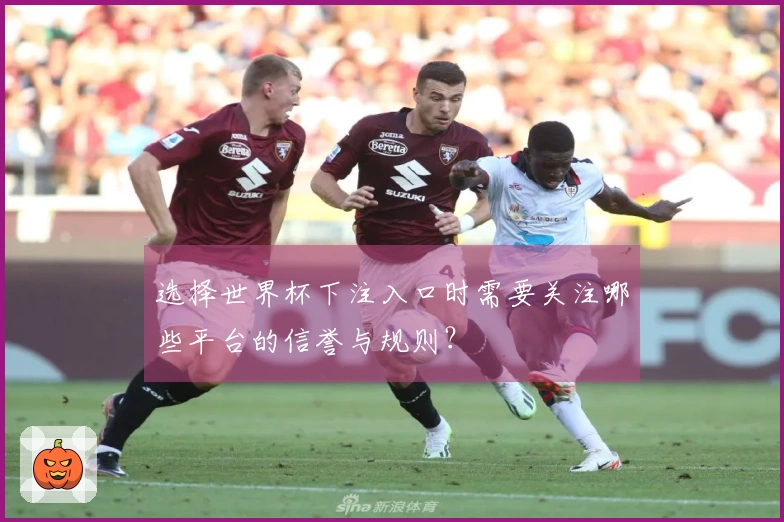 选择世界杯下注入口时需要关注哪些平台的信誉与规则？