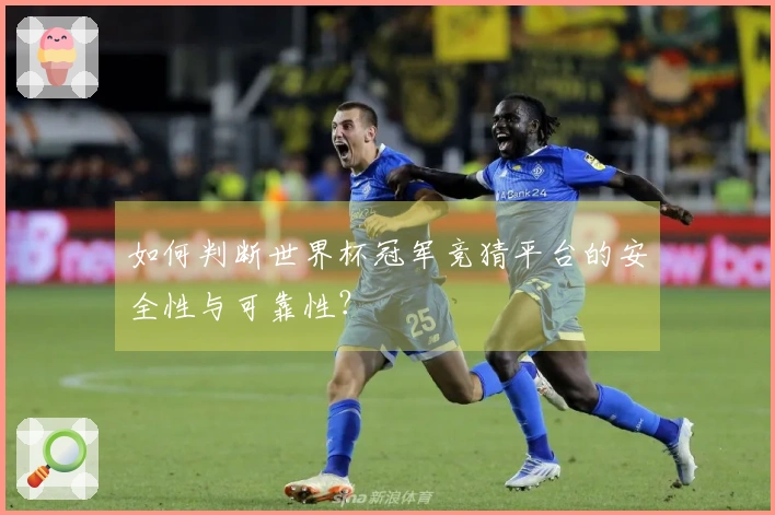 如何判断世界杯冠军竞猜平台的安全性与可靠性？