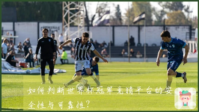如何判断世界杯冠军竞猜平台的安全性与可靠性?