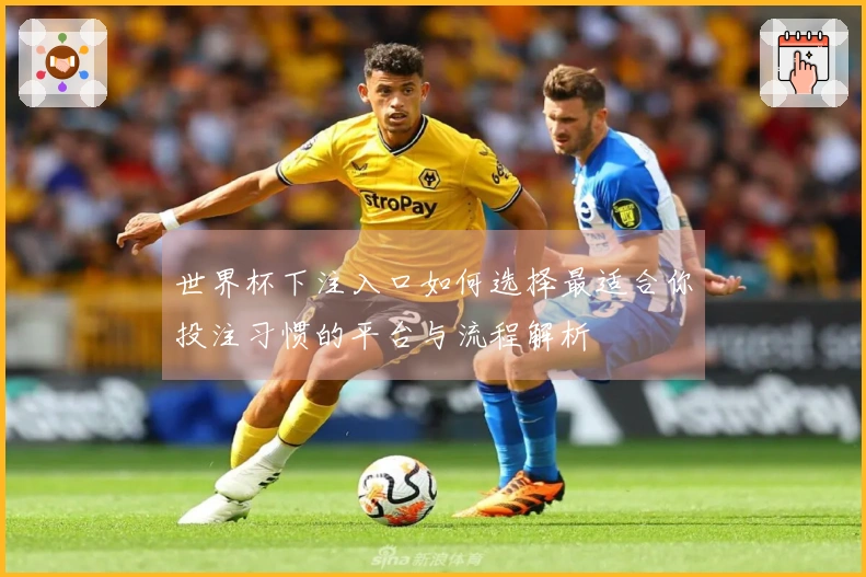 世界杯下注入口如何选择最适合你投注习惯的平台与流程解析