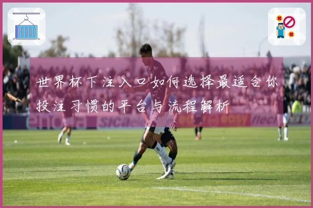 世界杯下注入口如何选择最适合你投注习惯的平台与流程解析